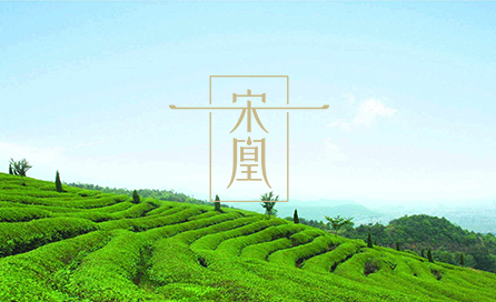 宋凰生态茶业有限公司